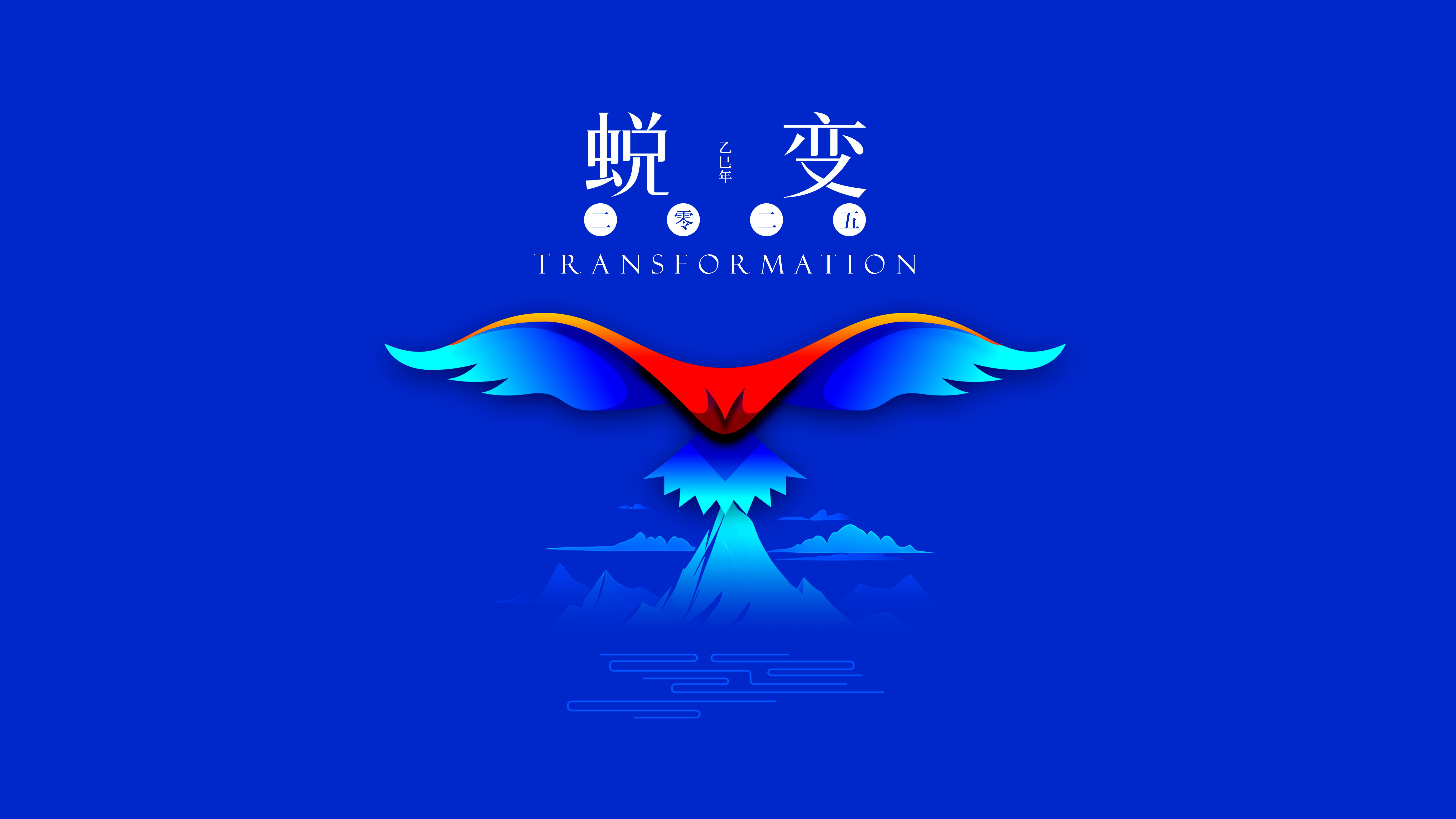 我與海星的2024，期待2025年與您一起續(xù)寫美好篇章